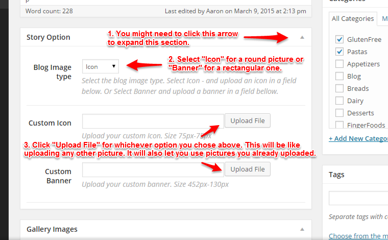 WordPress theme instructions